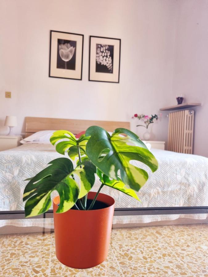 Prime Guest House Pisa Buitenkant foto